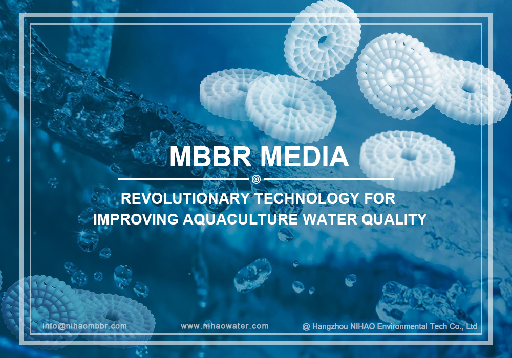 MBBR: Revolutionaire technologie voor het verbeteren van de waterkwaliteit in de aquacultuur